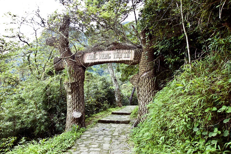 contemplar-la-catarata-de-oro-yen-tu